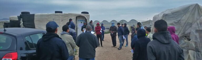 Aún en estado de alarma sanitaria miles de inmigrantes siguen trabajando en el campo para que los alimentos lleguen a nuestros supermercados y casas