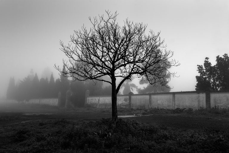 DONDE NO HABITE EL OLVIDO-CEMENTERIO DE HUELVA María Clauss